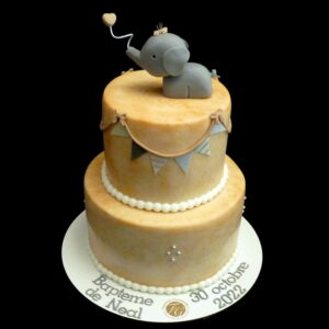 gâteau de baptême petit éléphant